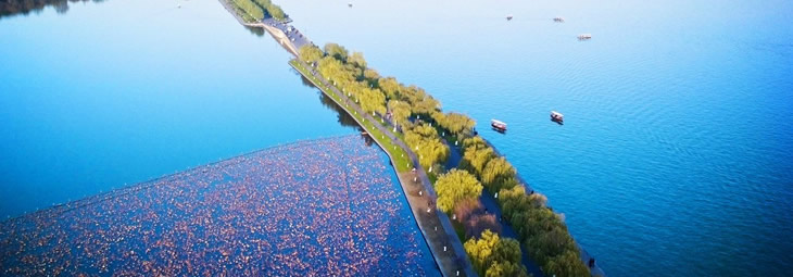 Hangzhou Conference Academic Tourism: Sudi（苏堤）