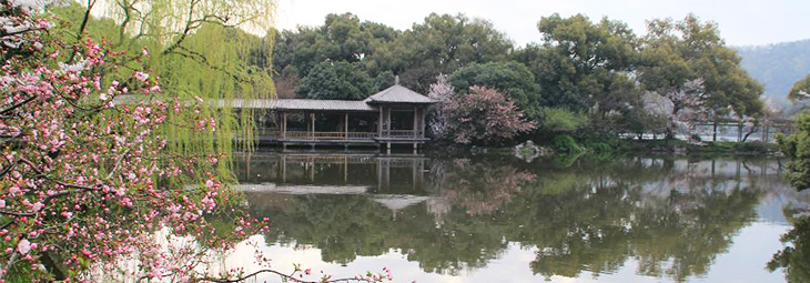 Hangzhou Conference Academic Tourism: Viewing Fish at Flower Harbor（花港观鱼）